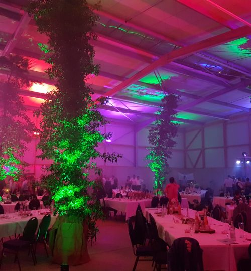 Hochzeit - private Location